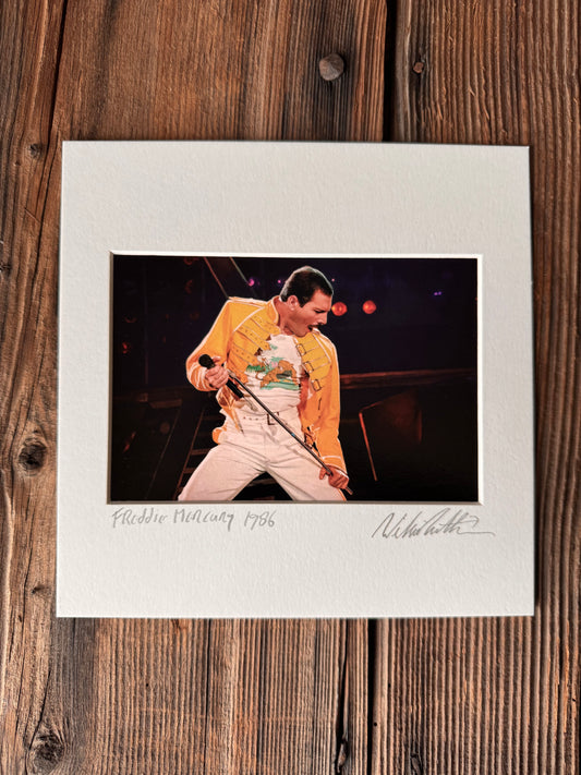 Art Print Freddie Mercury