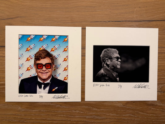 Art Print Elton John